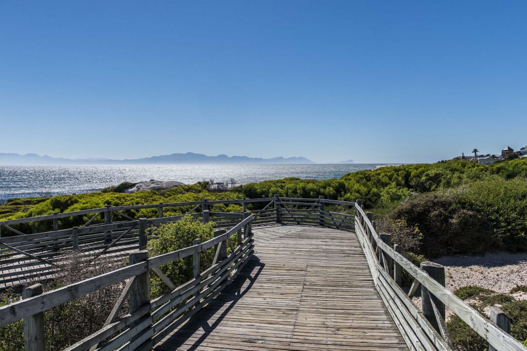Walkway at Boulders Beach