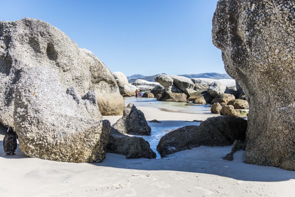 Boulders Beach