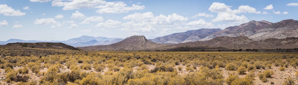 Western Province, Great Karoo