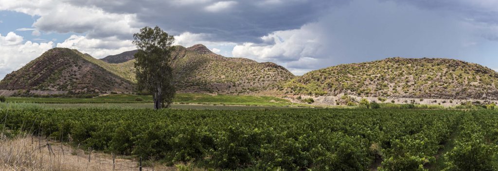 Western Province, Great Karoo