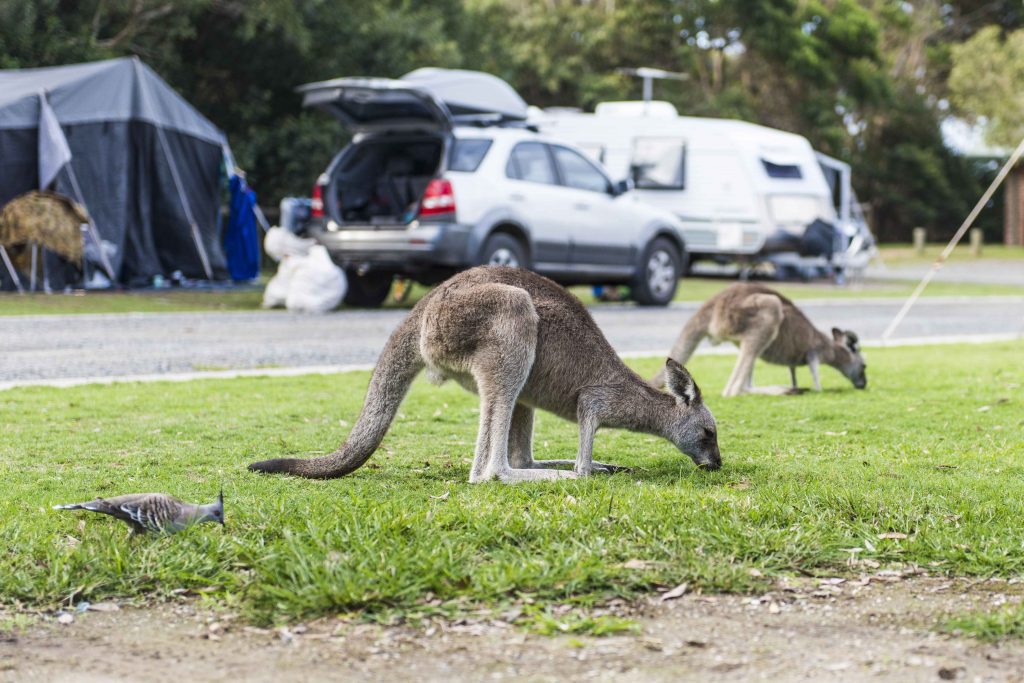 Crowdy Bay, North Coast of Sydney, New South Wales, Australia