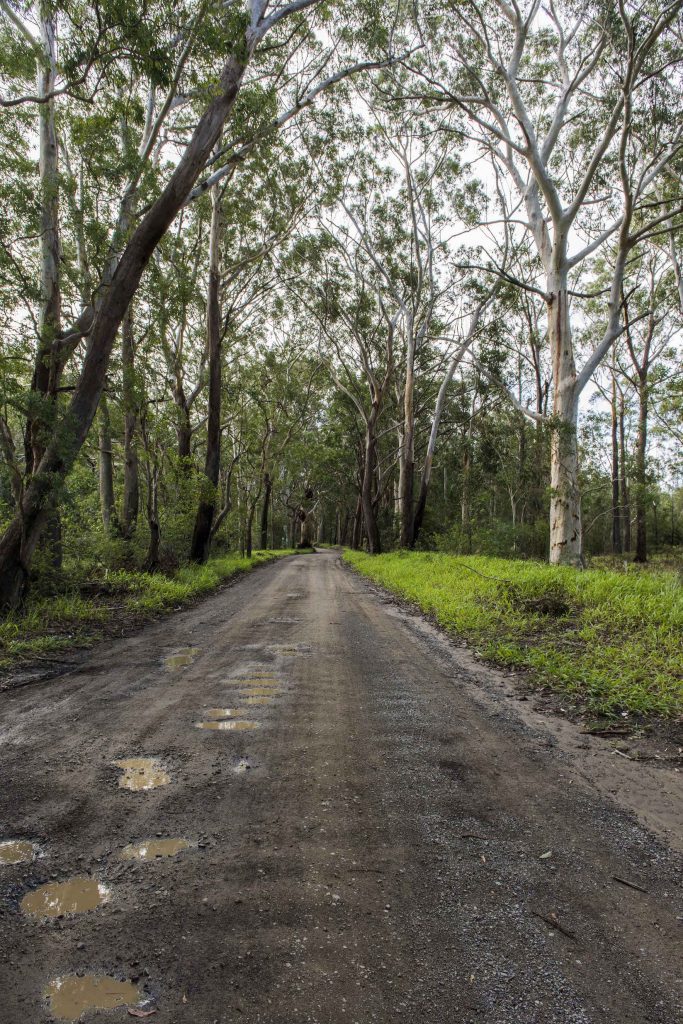 North Coast of Sydney, New South Wales, Australia