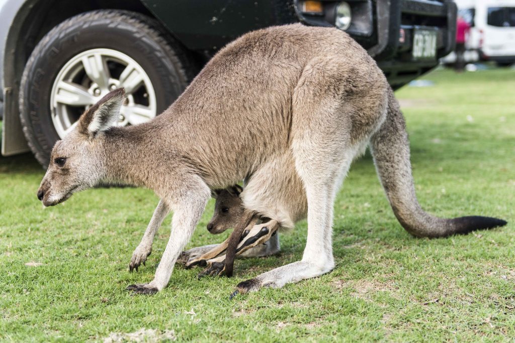 Crowdy Bay, North Coast of Sydney, New South Wales, Australia