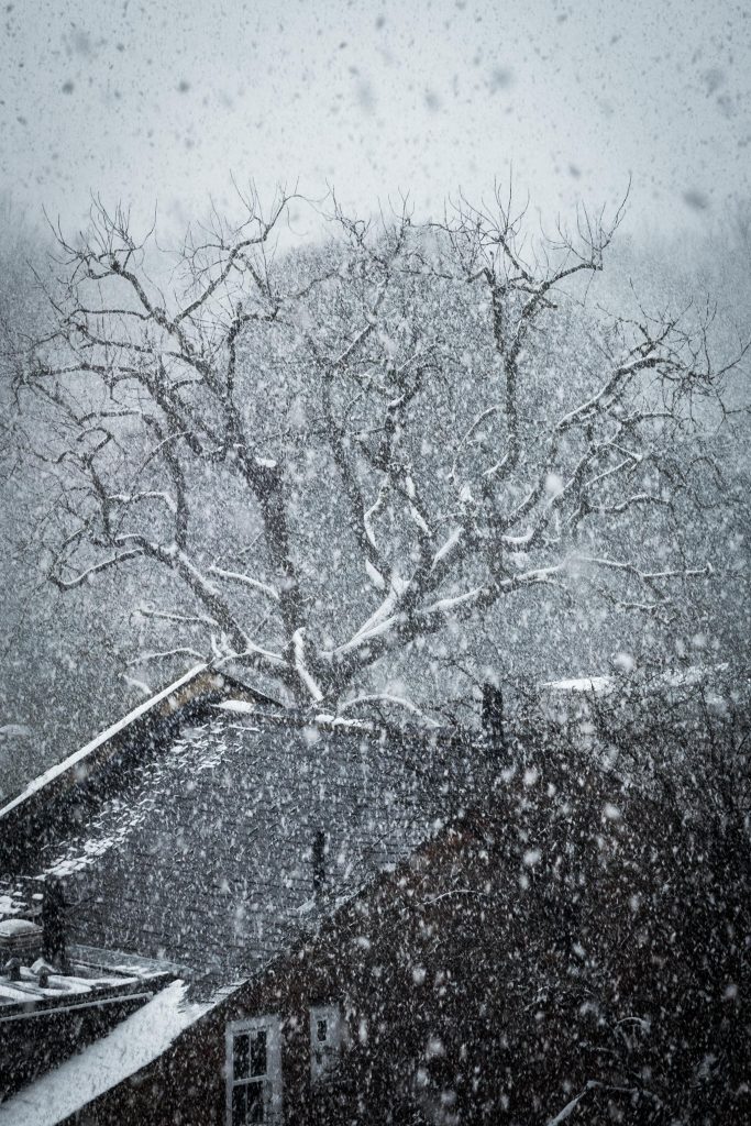 Let it snow London, Hampstead